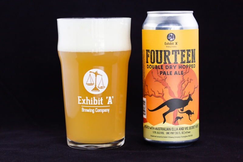 Fourteen Double Dry Hopped Pale Ale Exhibit A Brewing Company