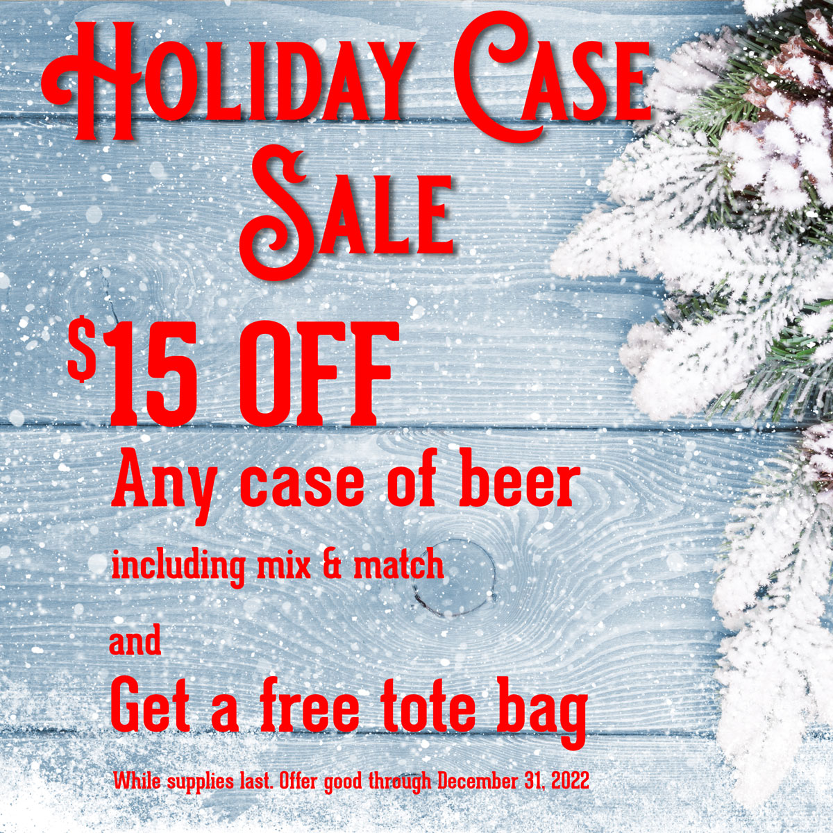 Case+Tote-holiday